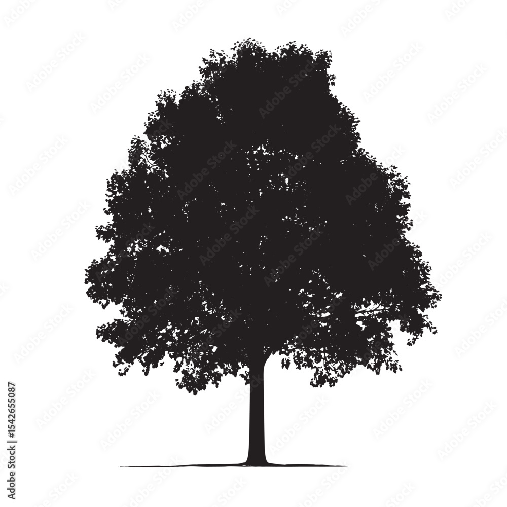 Fototapeta premium Forest Element Aspen Tree Silhouette Vector