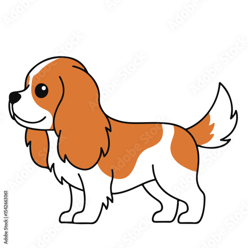 Cavalier King Charles Spaniel