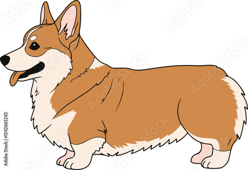 Pembroke welsh corgi dog