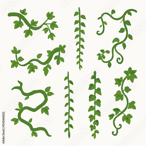 Evergreen climbing plant. Cartoon rainforest liana vines, jungle liana plants, tropical climbing ivy creepers flat vector illustration. Exotic ivy creeper