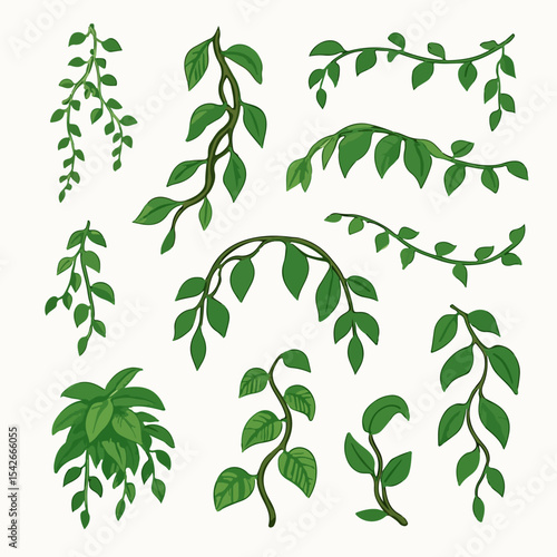 Evergreen climbing plant. Cartoon rainforest liana vines, jungle liana plants, tropical climbing ivy creepers flat vector illustration. Exotic ivy creeper