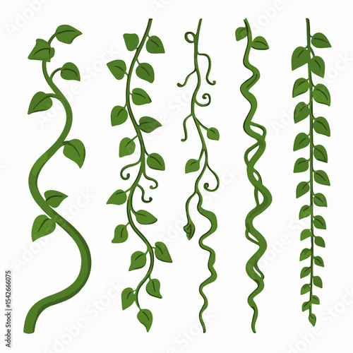 Evergreen climbing plant. Cartoon rainforest liana vines, jungle liana plants, tropical climbing ivy creepers flat vector illustration. Exotic ivy creeper