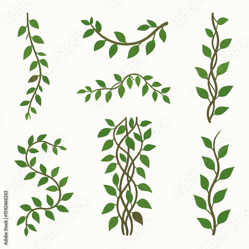 Jungle liana plants. Rainforest liana vines, tropical climbing ivy creepers, exotic ivy creeper flat vector illustration. Cartoon evergreen climbing plant