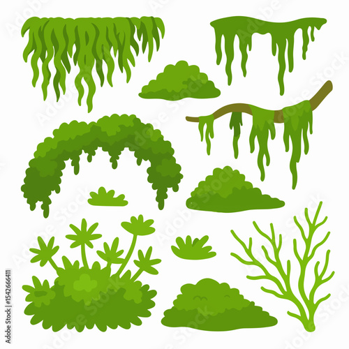 Jungle moss. Hanging and creeping lichen and moss, green moss plants flat vector illustration set. Cartoon rainy forest flora on white