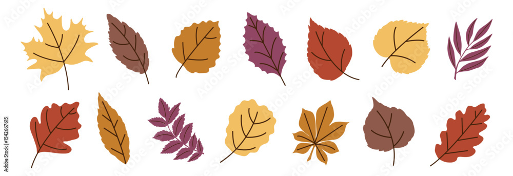 Fototapeta premium Autumn Leaves Flat Trendy Set. Fall Leaf Rowan, Maple, Oak, Birch, Chestnut, Willow, Beech, Hawthorn, Poplar, Elm, Aspen, Linden, Alder, Ash. Modern Fall Forest Branches, Foliage. Botanical Floral Set