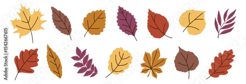 Autumn Leaves Flat Trendy Set. Fall Leaf Rowan, Maple, Oak, Birch, Chestnut, Willow, Beech, Hawthorn, Poplar, Elm, Aspen, Linden, Alder, Ash. Modern Fall Forest Branches, Foliage. Botanical Floral Set
