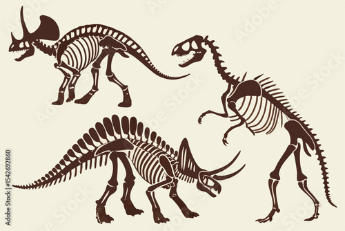 Dinosaur Skeleton Set Triceratops Stegosaurus and Tyrannosaurus Rex Fossils