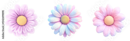 Collection of cute pastel daisy plush icons with soft textures in 3D rendering isolated on a white or transparent background