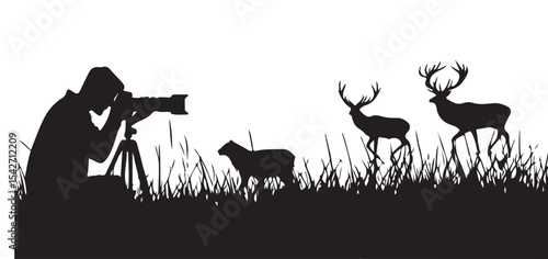 Wildlife Photography Silhouette Capturing Deer and Sheep in Natural Habitat