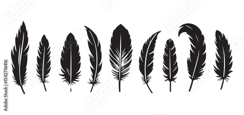 Collection of Black Feather Silhouette Vector Illustrations for Designers