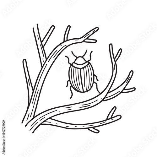 A bug crawling over twigs in the underbrush