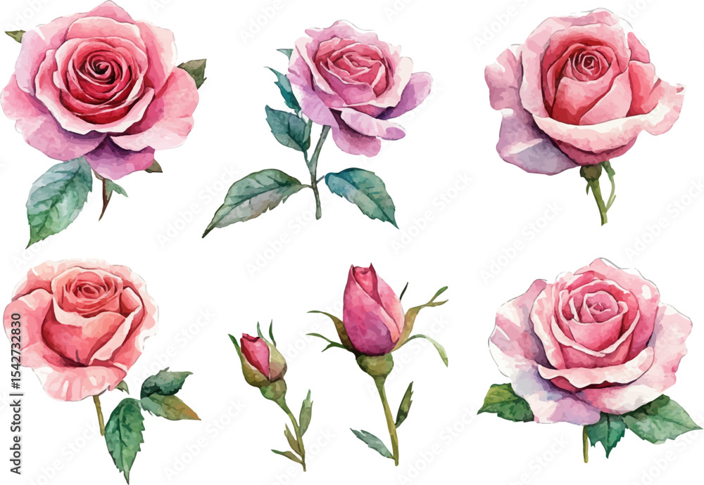 set of roses set of roses