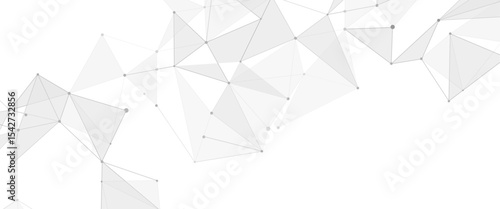 Vector modern low poly digital network lines and dots on white background