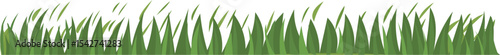 Flat Field Grass Stroke vector border for nature, spring, landscape, and garden decoration
