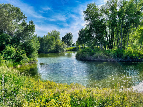 Springtime at the Fishing Pond, Nature Park in Rexburg Idaho.