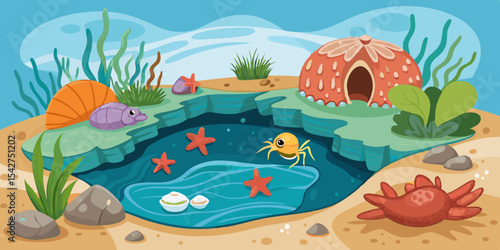 Vibrant Tide Pool Life Illustration Featuring Hermit Crabs and Ocean Life