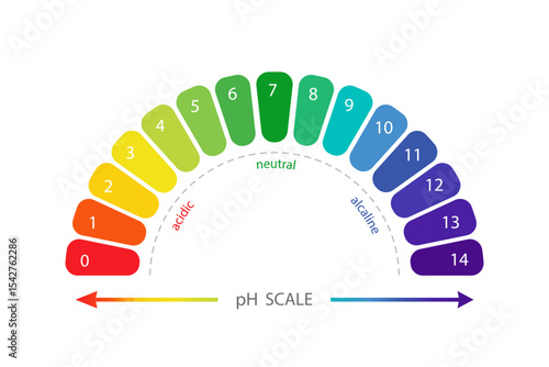 PH Scale diagram. Gauge for acid and alkaline balance. Chemical analysis or test. Vector illustration isolated on white background.