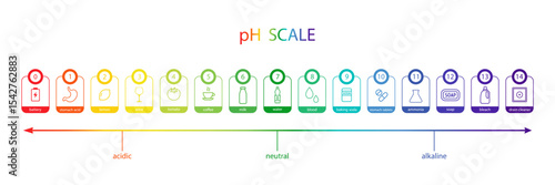 PH Scale chart. Indicator of indications, measurements and table of results. Ph food analysis or chemical test. Flat Vector illustration.
