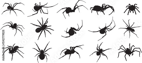 Vector Silhouette Collection: Clean and Bold Designs Spider, Black Widow, Red back female, views isolated on white