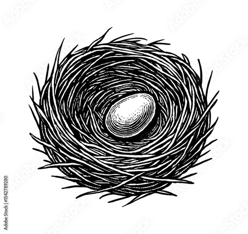 Illustration of a bird nest with egg inside detailed black and white line art drawing