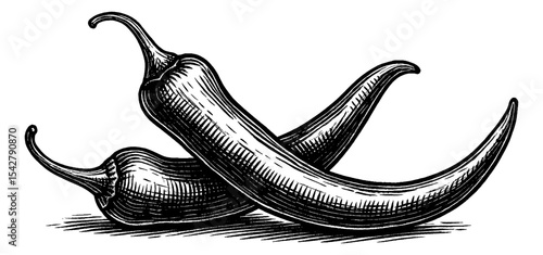 Two Chili Peppers in Detailed Vintage Black and White Woodcut Line Art Drawing
