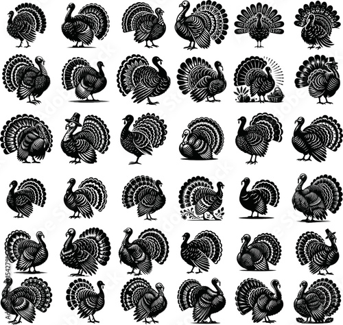 Turkey Silhouettes set vector black, animal turkey illustration silhouette