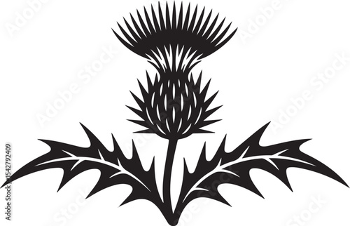 Detailed Thistle Vector Illustration with Sharp Prickles and Floral Design