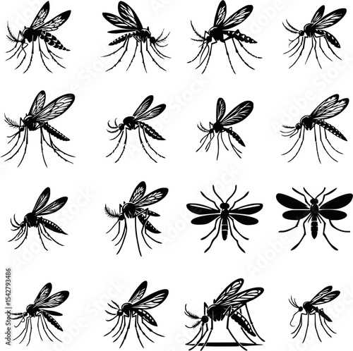 Mosquito silhouette set. Aedes aegypti icon. World mosquito day vector