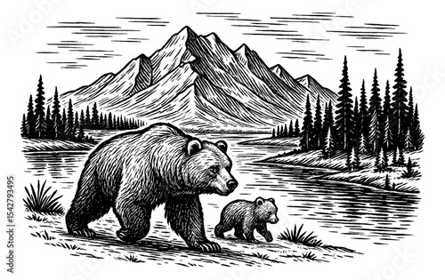Engraved Illustration of a Mother Bear and Cub Walking Near a River with Mountains