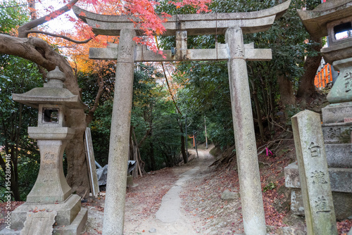 Kyoto Trail and surrounding area scenery