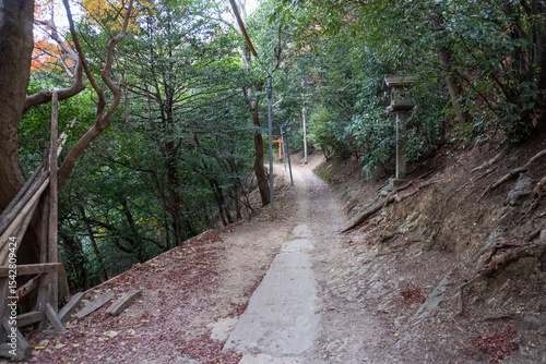 Kyoto Trail and surrounding area scenery