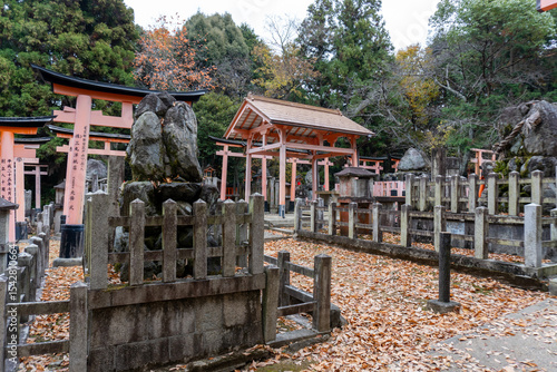 Kyoto Trail and surrounding area scenery