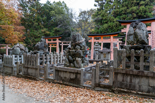 Kyoto Trail and surrounding area scenery