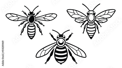 Vector illustration of three detailed black and white honeybees in various flight positions
