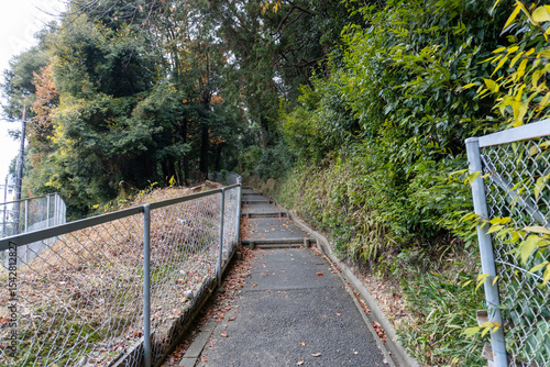Kyoto Trail and surrounding area scenery