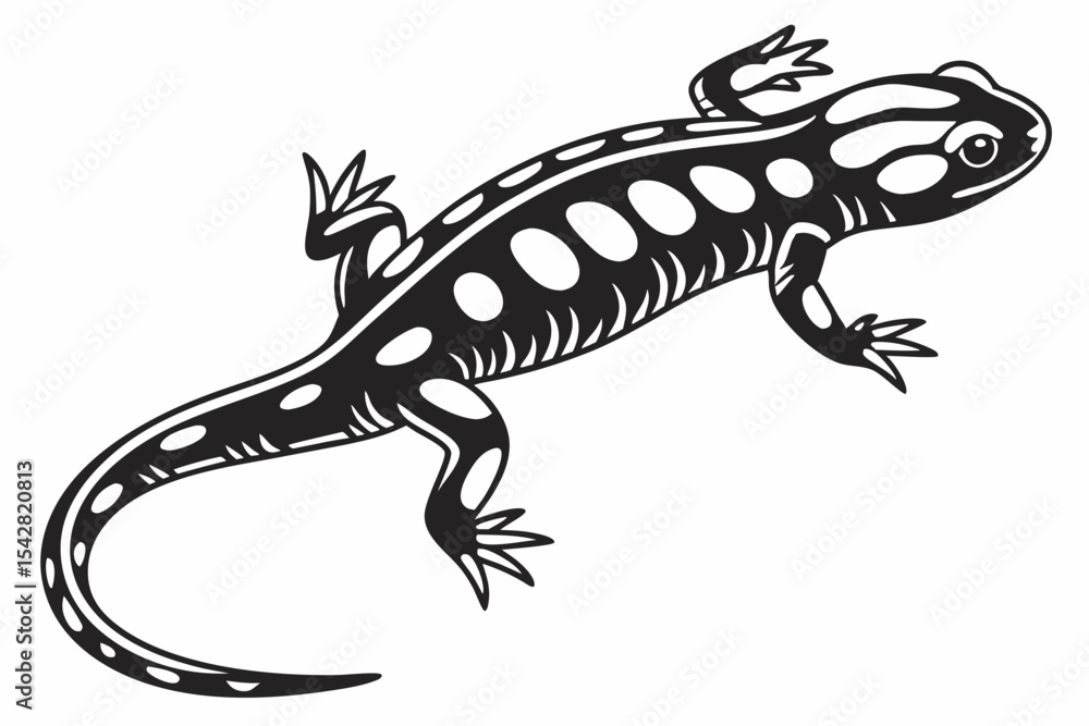 Obraz premium spotted salamander silhoette black vector 