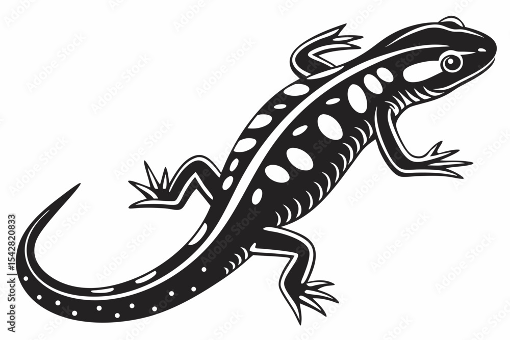 Fototapeta premium spotted salamander silhoette black vector 