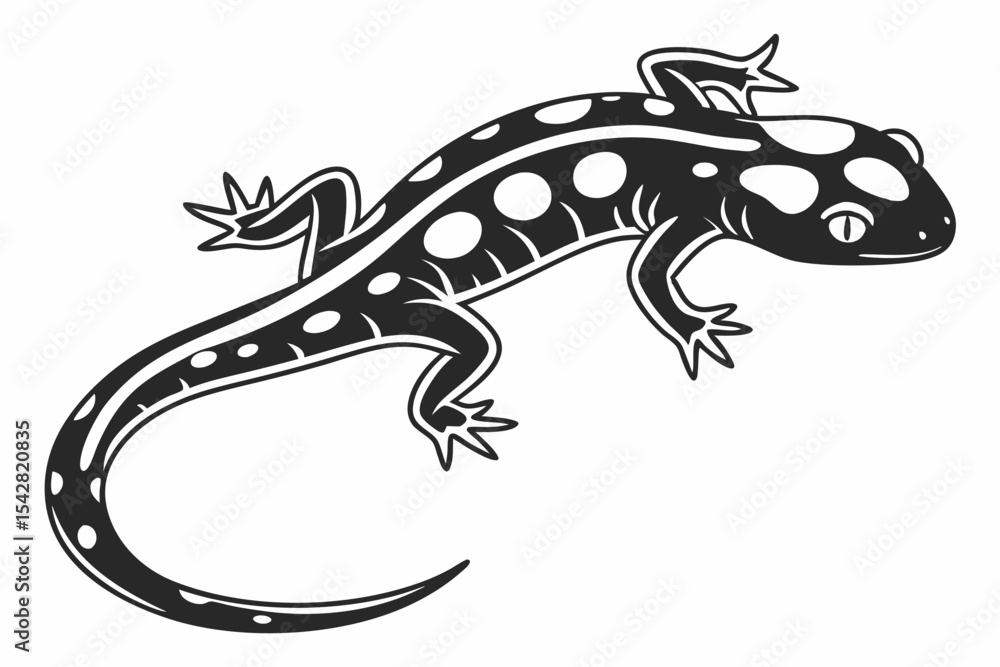 Obraz premium spotted salamander silhoette black vector 