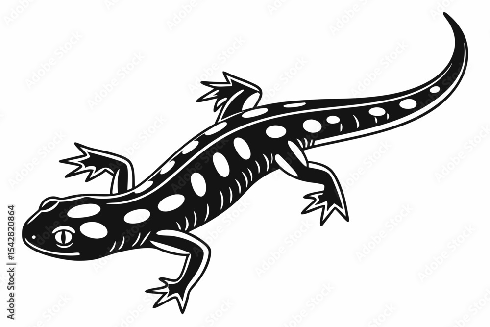 Fototapeta premium spotted salamander silhoette black vector 