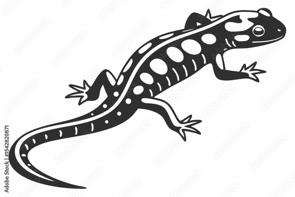 Obraz premium spotted salamander silhoette black vector 