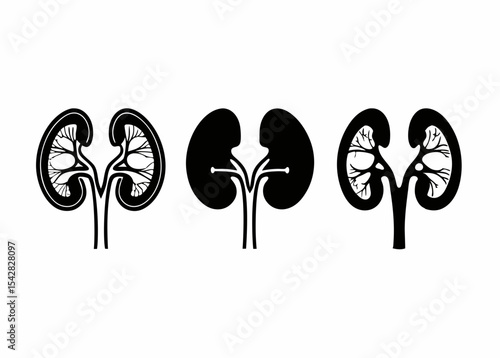 Medical Icons and Anatomy Shapes in Minimal Style,