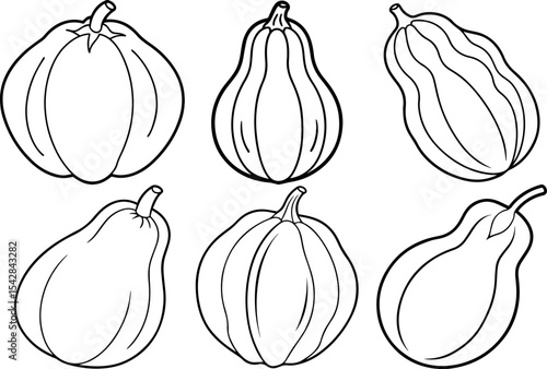 Set of chayote outline vector illustration line art