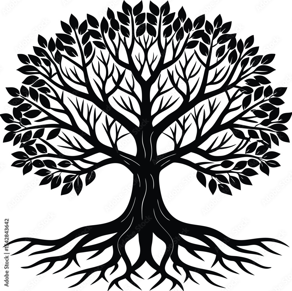 Obraz premium tree-and-root-silhouette-isolated-on-white-backgro (2).eps