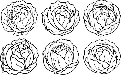 Set of cabbage outline coloring book page line art vector illustration