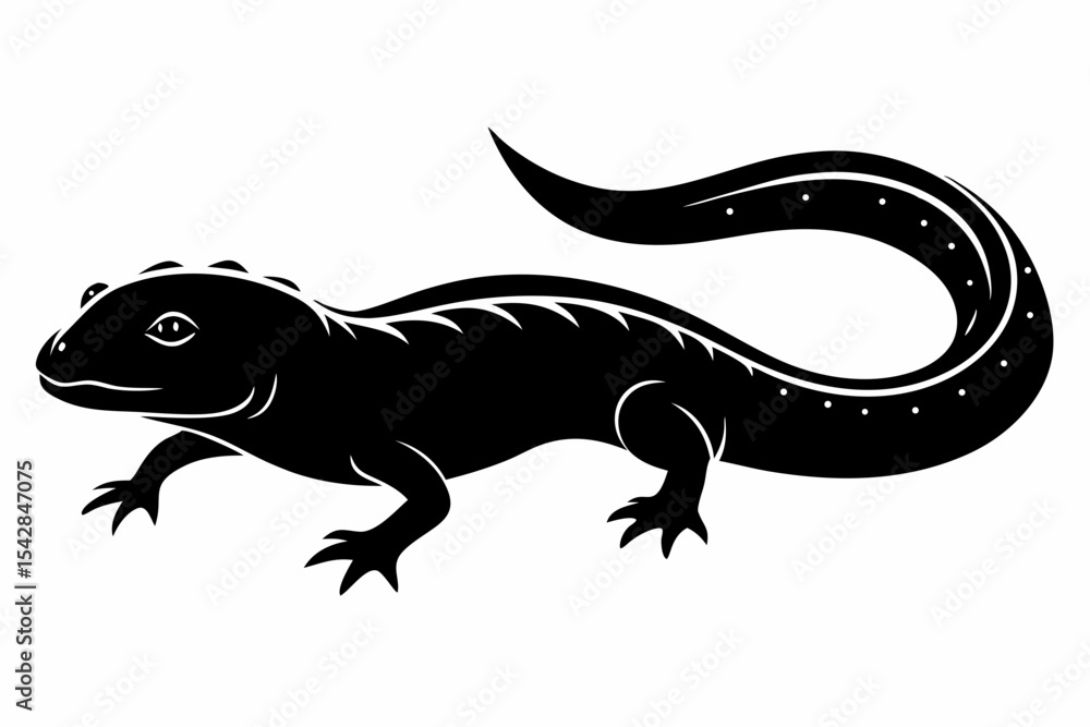Fototapeta premium rough skinned newt sihouette black vector