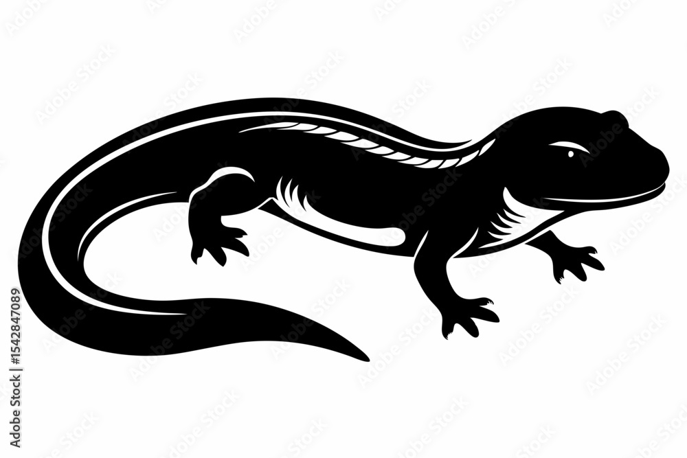 Fototapeta premium rough skinned newt sihouette black vector 