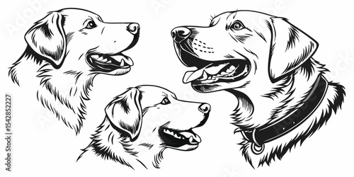 Adorable black and white vector illustration of a purebred Labrador retriever puppy