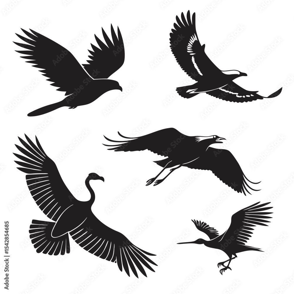 Obraz premium Silhouette illustrations of various birds soaring in flight against a white background