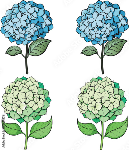 Four hydrangea flowers in blue and green