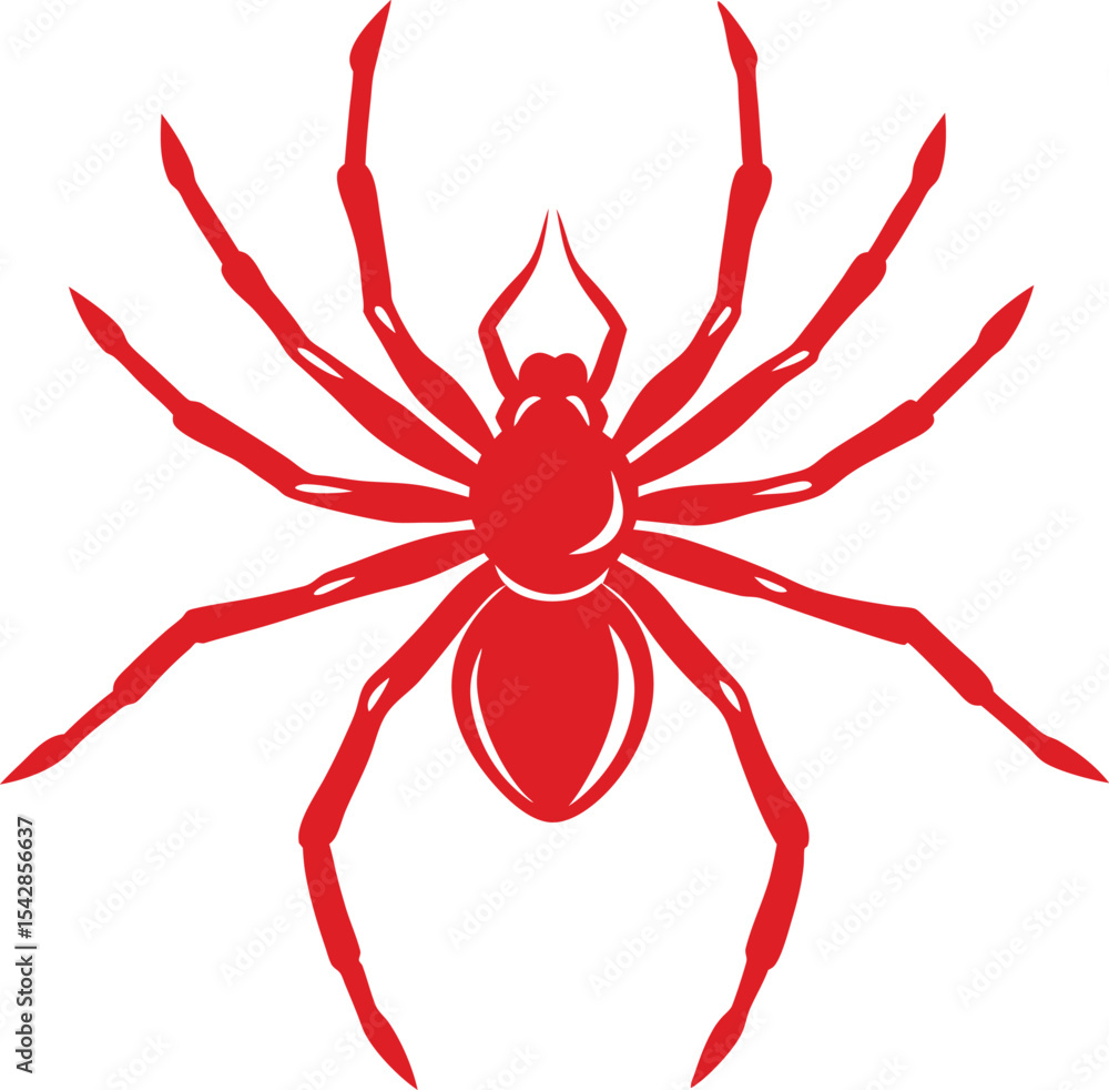 Obraz premium spider on a white background